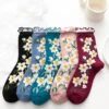 Women Flower Artsy Lacework Socks -Ada Fashion 5 Pairs Women Flower Artsy Lacework Socks Ada Fashion 177673651