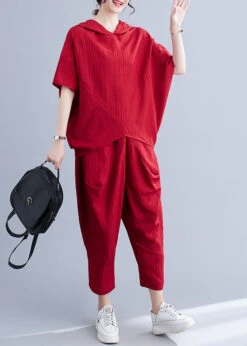 Plus Size Mulberry Hooded Patchwork Two Piece Set Batwing Sleeve LY7334